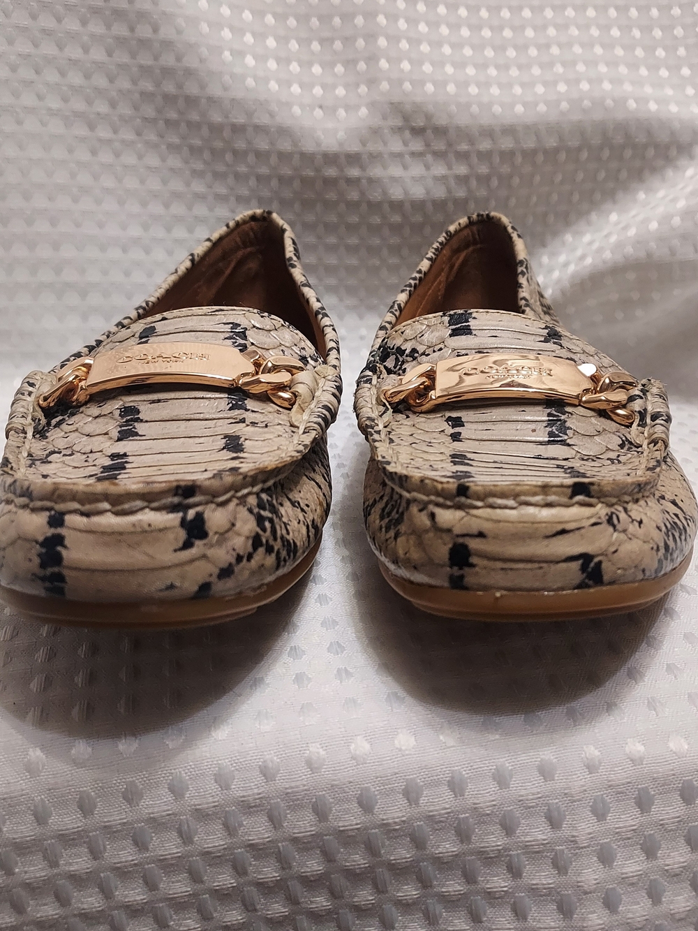 COACH Women's Beige Snake-Print Leather Loafers with Gold Hardware - Picture 6 of 10